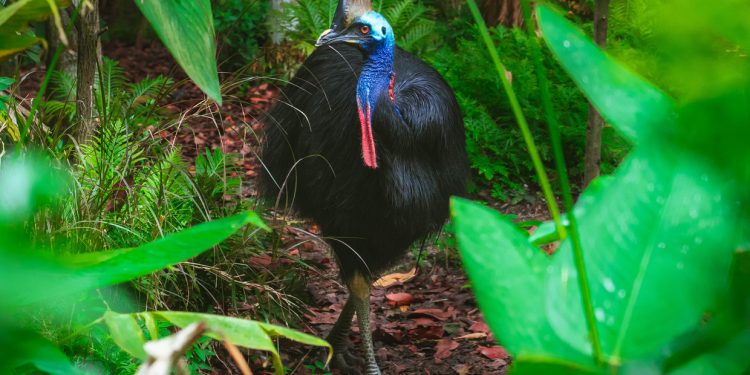 New dinosaur species unearthed in Sahara (PHOTOS/VIDEO)