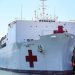 ‘No thank you’: Greenland PM sinks Trump hospital ship idea