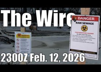 The Wire – February 12, 2026