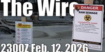 The Wire – February 12, 2026