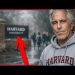How Epstein Embedded Himself in Elite Academia