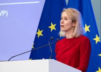 AfD co-chair calls for end to funding ‘corrupt’ Ukraine