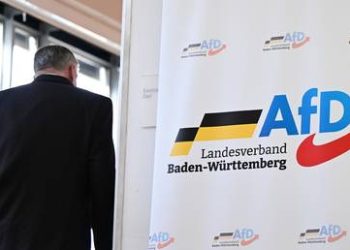Right-wing AfD hits new milestone in regional vote