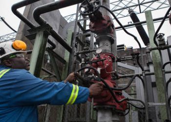 Egyptian nuclear plant to get first fuel next year – Rosatom