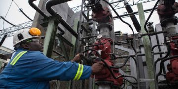 Egyptian nuclear plant to get first fuel next year – Rosatom