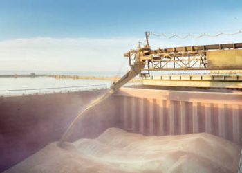 Russia doubles wheat exports to African country