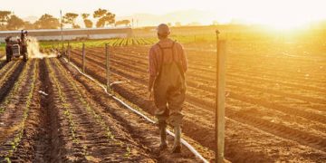 Elon Musk spreading lies against South Africa – presidency