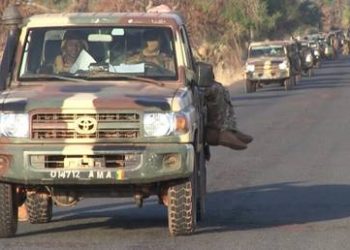 Russian military frees geologists kidnapped in Africa in 2024