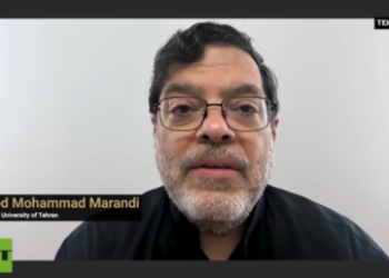 Iran must not repeat Libyan mistake of trusting US – ex-Gaddafi minister (VIDEO)