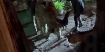 Ukraine faces ‘huge’ rift as mobilization backlash grows – Zelensky aide