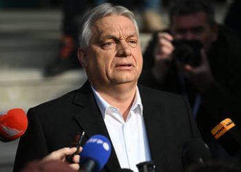 Soros has ‘taken over’ Hungary – Musk