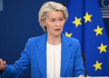 Von der Leyen immune to democracy – AfD leader