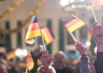 AfD supporters’ gun rights secretly curbed by German state – media