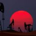 African energy giant reaffirms commitment to OPEC