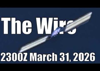The Wire – March 31, 2026