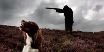 Dog shoots woman in Nebraska