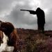 Dog shoots woman in Nebraska