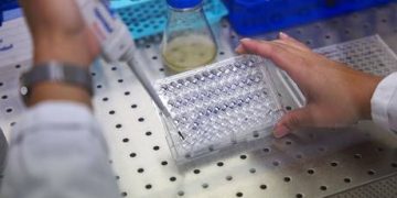Hantavirus: How dangerous is the cruise ship outbreak?