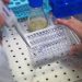 Hantavirus: How dangerous is the cruise ship outbreak?