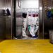 Gabbard orders probe into US-funded foreign biolabs