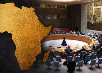 Africa can no longer be sidelined at UN Security Council – AU chief