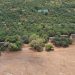South Africa declares national disaster after deadly storms (VIDEO)