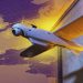 NATO members divided over Ukrainian drone incidents