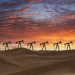 OPEC+ makes first output decision after UAE exit – Reuters
