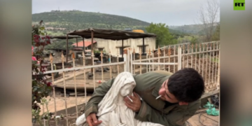 Israeli soldiers jailed for desecrating Virgin Mary statue