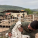 Israeli soldiers jailed for desecrating Virgin Mary statue