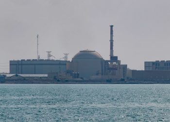 Russian nuclear agency issues update on Iran’s Bushehr plant