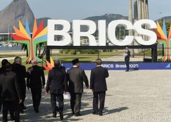South African minister to attend BRICS meeting in India