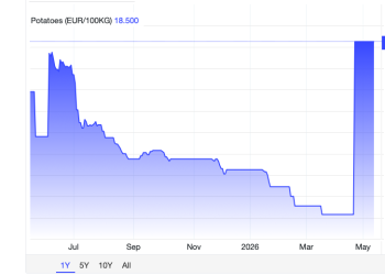 Potato futures are soaring – should the world be worried?