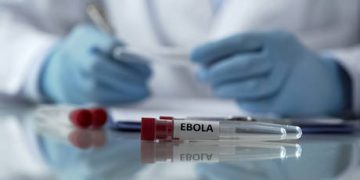 WHO declares global Ebola emergency