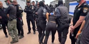 Canada demands Israel flotilla abuse probe