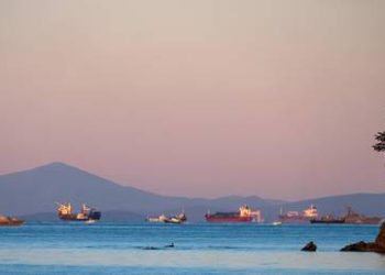 India eyeing Arctic route amid Hormuz crisis – Russian minister