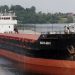 Ukrainian drone attack on grain ships kills five (VIDEO)