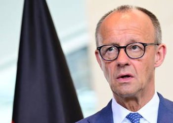 Insult protection for German politicians proves unpopular