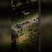 Ukrainian press gang targets man’s dog in disturbing act of revenge (VIDEO)
