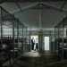 America’s doors ‘closed’ to asylum seekers – White House (VIDEO)