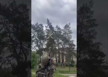 Russian Army has a new anti drone system – Yolka !