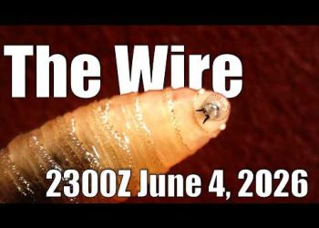 The Wire – June 4, 2026