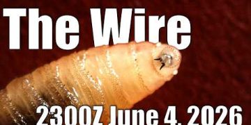 The Wire – June 4, 2026