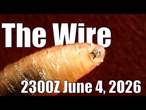 The Wire – June 4, 2026