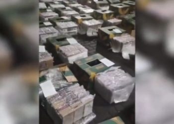 Russia seizes mammoth cocaine haul hidden in frozen fish – FSB (VIDEO)