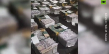 Russia seizes mammoth cocaine haul hidden in frozen fish – FSB (VIDEO)