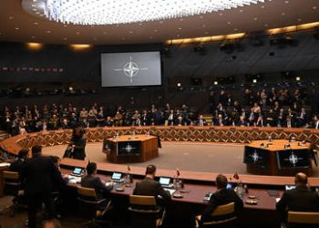 Italy blocking NATO pledge to Ukraine – media