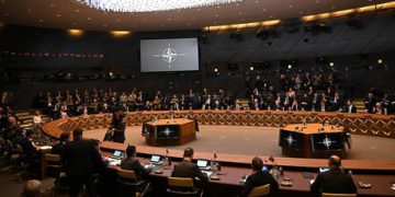 Italy blocking NATO pledge to Ukraine – media