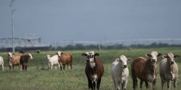 Diarrhea-inducing parasite spreading across US