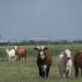 Diarrhea-inducing parasite spreading across US
